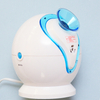 Negative Ion Facial Steamer Equipment, Personal ION Steamer Beauty Equipment